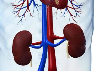 Urina cu sânge la femei și că este simptom