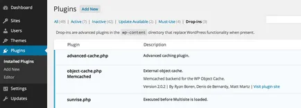 Memcached pentru obiecte de cache în WordPress - revista wp