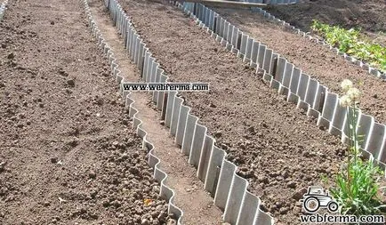 Mole cum să lupte în grădină și a scăpa (crichet) Mole cum să lupte în grădină și a scăpa