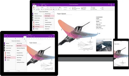 Microsoft a introdus un nou OneNote