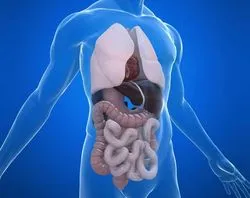 cavitatea mri abdominală și pregătire a organelor retroperitoneale și demonstrarea (pregătire pentru mri) RMN-ul preparatului de organe abdomenului și retroperitoneale și arată