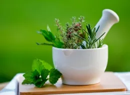 plante aromatice Oamenii s
