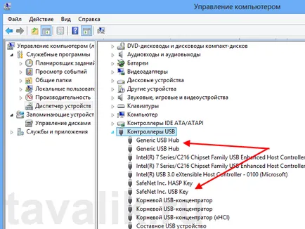 chei de securitate numire, instalare și administrare HASP pentru „1C“ 8