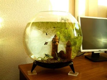 umiditate normală într-un apartament care afectează modul de măsurare a (plat) norma de umiditate într-un apartament care afectează și modul de măsurare