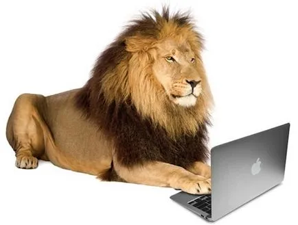 Apple a laptop-uri cum pentru a selecta un macbook (măr) Apple MacBook laptop-uri Cum de a alege