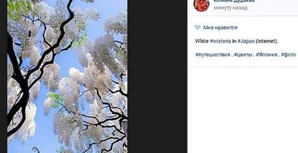 Ce sunt etichetele în contact
