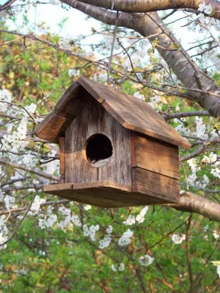 Birdhouse cu desenul lor mâini Birdhouse cu desenul lor mâini