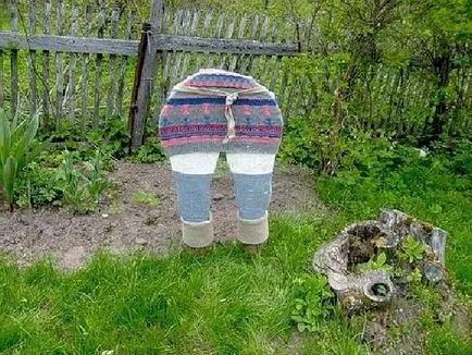 Noi idei pentru gradina cu propriile sale mâini - o fotografie, i-- reduceri pentru Remo reparații