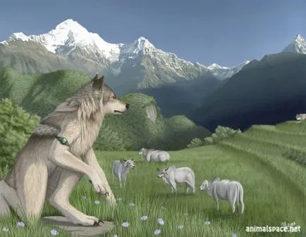 Vârcolacii - stiri despre animale, animale rare și animale mitice