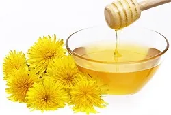 ficat Dandelion - putere de vindecare, curățare corpul de sănătate