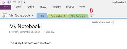 Revizuirea cererilor pentru ferestre OneNote - Prezentare generală Software