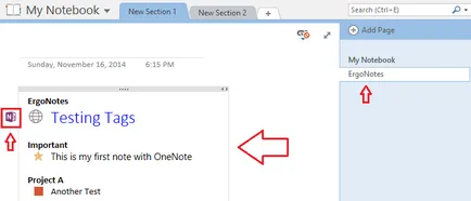 Revizuirea cererilor pentru ferestre OneNote - Prezentare generală Software