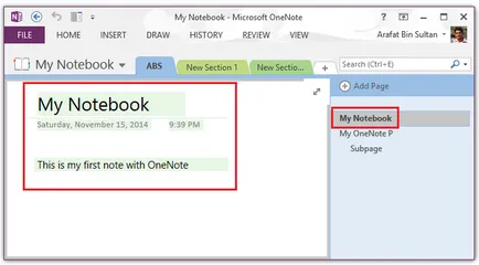 Revizuirea cererilor pentru ferestre OneNote - Prezentare generală Software