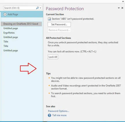 Revizuirea cererilor pentru ferestre OneNote - Prezentare generală Software