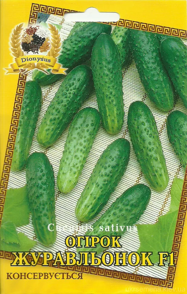 Comentarii Castravetele zhuravlenok descriere fotografie de plantare (zhuravlenok) Castravetele zhuravlenok comentarii descriere fotografie de plantare