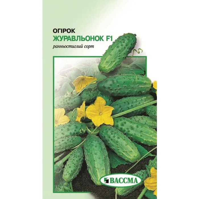 Comentarii Castravetele zhuravlenok descriere fotografie de plantare (zhuravlenok) Castravetele zhuravlenok comentarii descriere fotografie de plantare