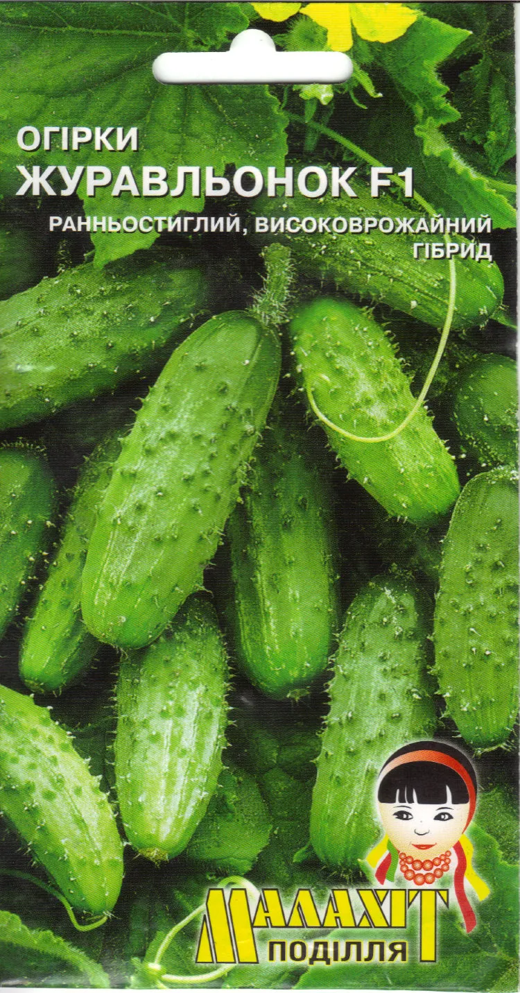 Castravetele zhuravlenok comentarii descriere fotografie de plantare (review-uri) Castravetele zhuravlenok comentarii descriere fotografie de plantare