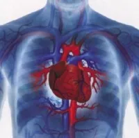 Cauzele insuficienta cardiaca si mecanismul de sindromul clinic, ajutorul de pre-medicale și orientări resuscitare (oprire) Cauzele insuficienta cardiaca si mecanismul de sindromul clinic, un ajutor premedical și ghiduri de resuscitare