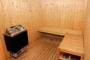 Caracteristici ale diferitelor tipuri de cuptoare pentru o baie, o alegere bună de modele, proprietarii reali