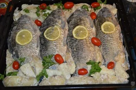 Caracteristici de capturare Tench