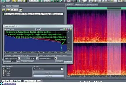 Determinarea reală bitrate-mp3-fișier