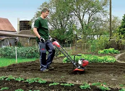 Măsura și îmbunătățirea solului pe site-ul (soluri de pădure sunt răspândite) Măsurăm și îmbunătățirea solului pe site
