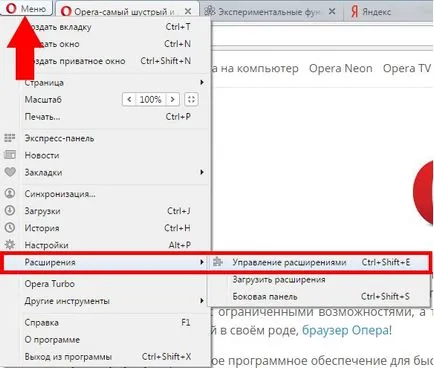 Opera inhibă ce să facă și cum să remedieze situația