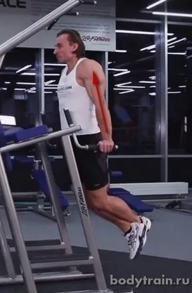 Dips - cum ar fi push-up-uri de pe bare