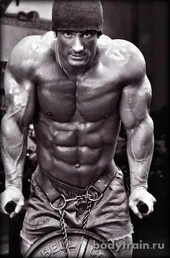 Dips - cum ar fi push-up-uri de pe bare