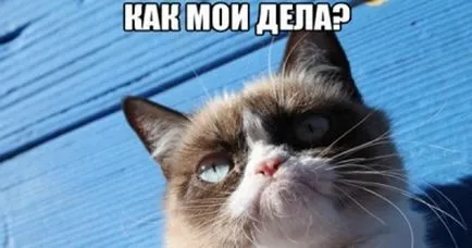 Răspunsurile la întrebarea „ce mai faci“ (răspunsul original) Răspunsurile la întrebarea „ce mai faci“
