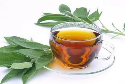 Bulion salvia remediu de o duzină de boli (bulion) Bulion salvia remediu de o duzină de boli