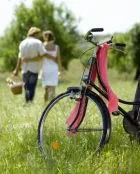 Picnic de toate regulile - un picnic, produse alimentare, rețete