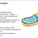 Parabulbarno-l ca - și în administrarea parabulbarno de 500 mg, de somn pentru copii Parabulbarno-l ca - și în administrarea parabulbarno de 500 mg, de somn pentru copii