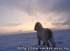 Site personal 1