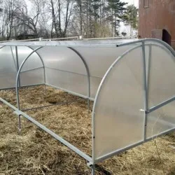 Castravete de sere pentru mâini sale foto, video și instrucțiuni - eteplitsa