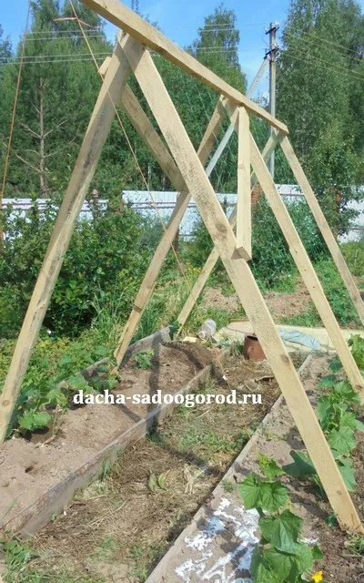 Castravete de sere pentru mâinile lor proprii, cabana, grădină, grădină de bucătărie și de viață suburbane