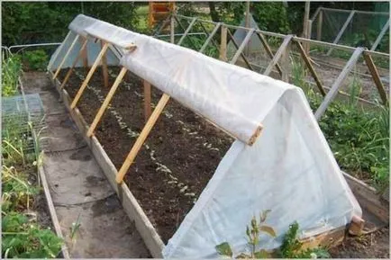 Cu efect de seră cu mâinile sale pentru castraveți, roșii, ardei, varza, în grădină, pe balcon - viața mea (cu efect de seră) Cu efect de seră cu mâinile sale pentru castraveți, roșii, ardei, varza, în grădină, pe balcon - viața mea