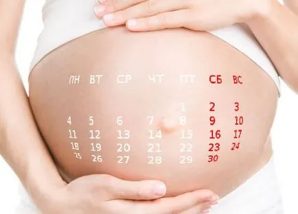 Calendarul personal de săptămâni de sarcină (sarcină) Personal săptămână calendaristică de sarcină săptămâni
