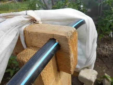 Cu efect de seră cu mâinile sale pentru castraveți, roșii, ardei, varza, în grădină, pe balcon - viața mea (cu mâinile) Cu efect de seră cu mâinile sale pentru castraveți, roșii, ardei, varza, în grădină, pe balcon - viața mea