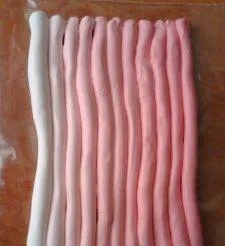 Plastic (polimer argilă)