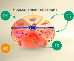 De ce doare ficatul, și că, în acest caz, pentru a face recomandări pentru a elimina durerea în (durere în ficat) De ce doare ficatul, și că, în acest caz, pentru a face recomandări pentru a elimina durerea în