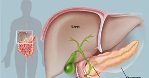 Pancreasul este o persoană în cazul în care există, structura și funcția sa și o posibilă boală