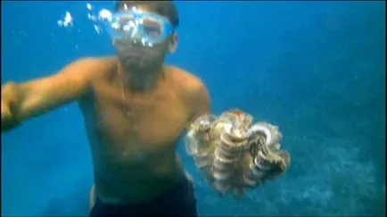 sub imersiune apă fără scufundare sub imersiune apă fără scufundare