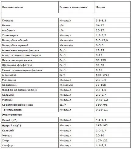 Indicatori de teste de sânge la pisici (cu explicatii) - Pisici Siberian Crescatoria Rossity