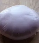 Pas cu pas reteta de mastic de nalba mare în mediul video de interior