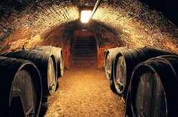 vin portughez - Port