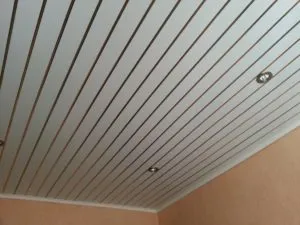 Plafonul panourilor din plastic cu propriile lor mâini - un vrăjitor singuratic