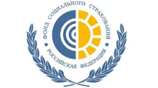 FSS Portal pentru prezentarea rapoartelor - ambele declarații emise