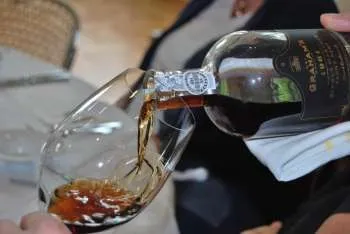 Port - o descriere cu fotografii de vin și speciile sale; rău și beneficiile băuturii