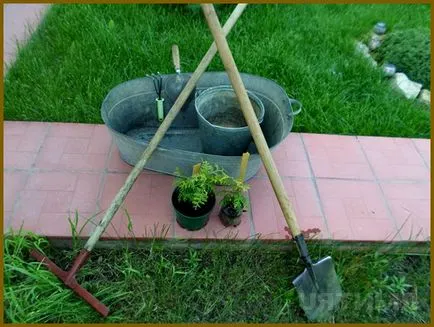 El a aterizat cincea, și cum să aibă grijă să nu știu, spune-mi